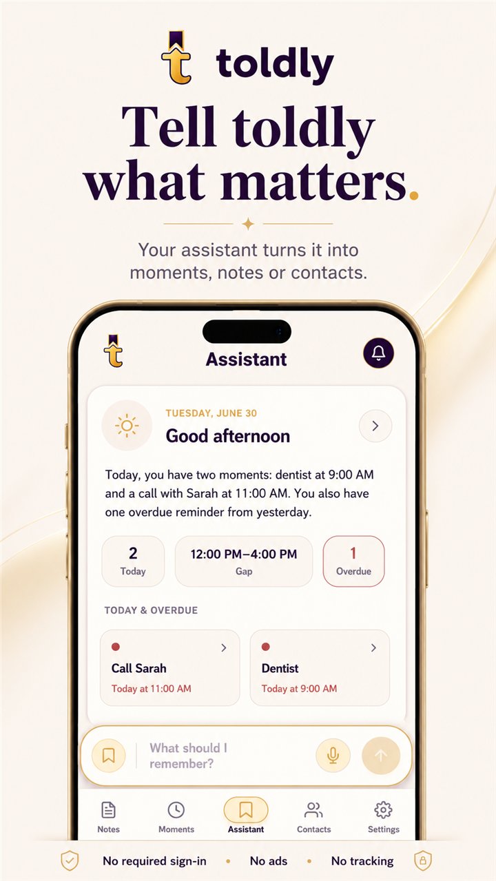 toldly Assistant screen